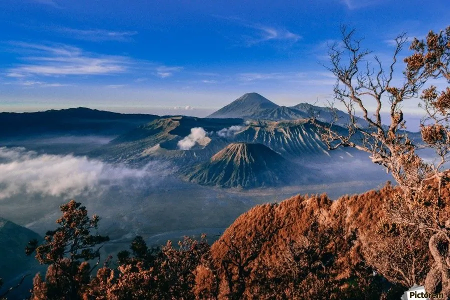 Bromo
